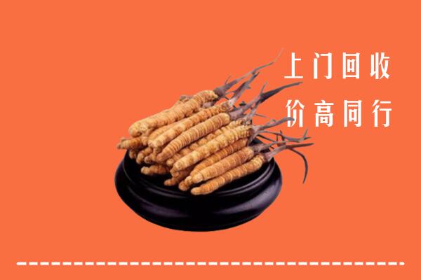 高价求购：安庆市宜秀回收散虫草