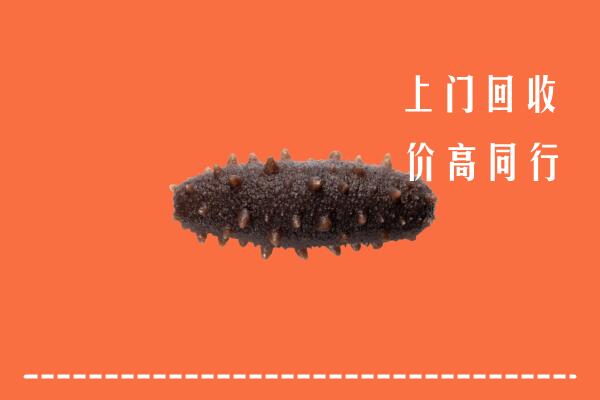 高价求购：安庆市宜秀回收海参