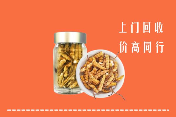 安庆市宜秀回收冬虫夏草